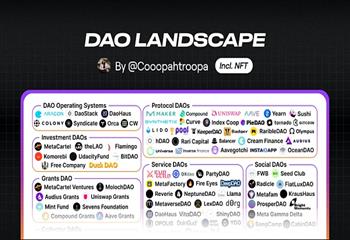 DAO 的全景图：金融和社会资本之间的关系