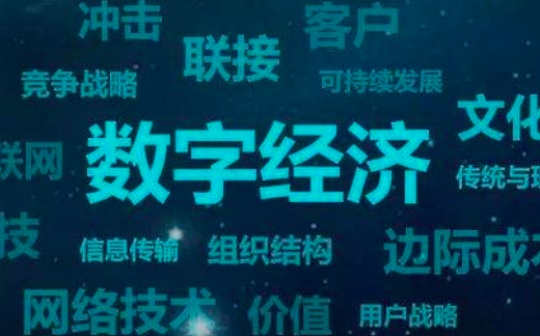 数字经济税收如何治理？政府要员和专家这么说