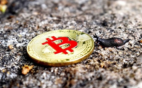 新加坡加密货币监管法生效 全球公司均可申请牌照