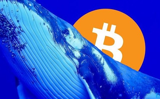 到底有多少实体持有比特币？这7家交易所值得关注