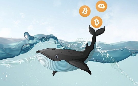 持有1000枚BTC的鲸鱼数量达到2017年水平