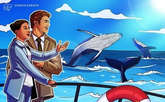 机构投资者在2020年第一季度大力投资加密基金