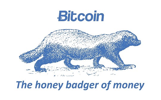 金色硬核 | 那些流行的比特币Meme