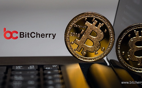 BitCherry深度布局中东市场 携手UPEX助力石油经济转型