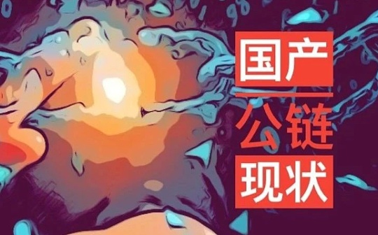 曾经的“以太坊杀手”过的怎么样？盘点八大国产公链现状
