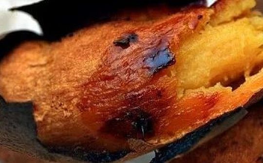 YAM 死了吗？NO 锁仓量达4亿美元 稳居DeFi第7的位置