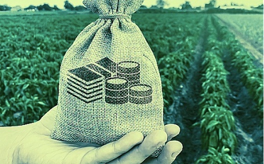 金色荐读 | 人即货币