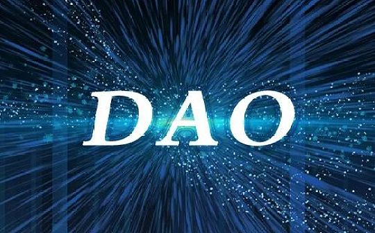 DAO 的2022该如何出发？