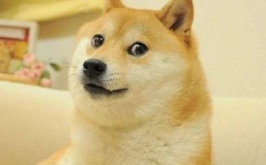 狗狗币一夜暴涨200% 今年已狂飙100倍