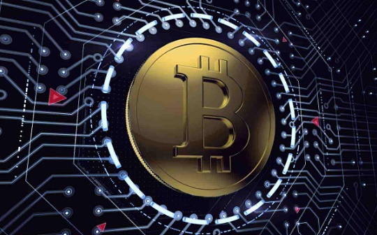 中币行情看点：加密货币5月调整后链上交易量创历史新高