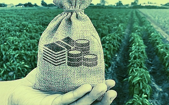 邓建鹏：以新型监管防范虚拟货币炒作风险