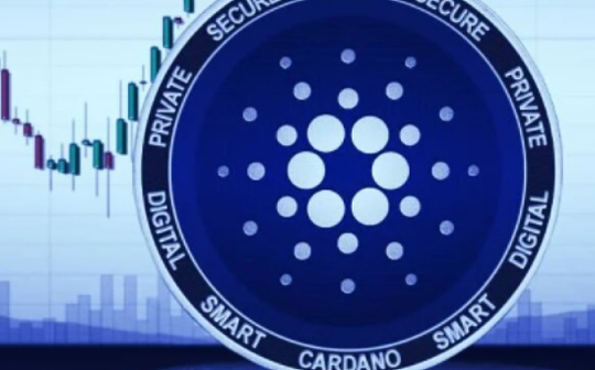 金色前哨 | 进入智能合约时代 Cardano主网部署Alonzo硬分叉升级