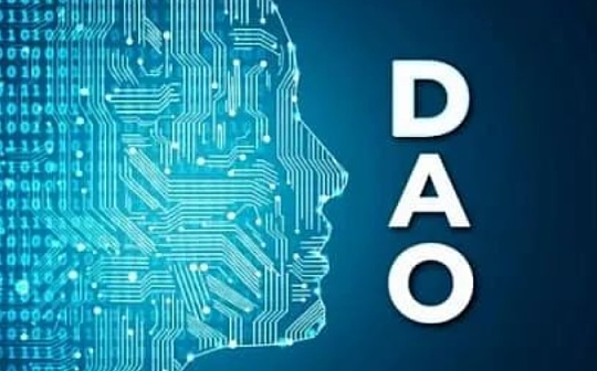 pet3rpan：三步大DAO通罗马
