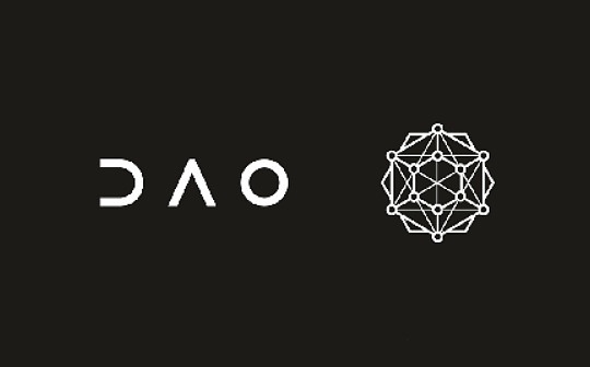 DAO：一个美丽的新世界？