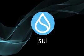 Sui Network主网初体验：真的如此顺滑吗？