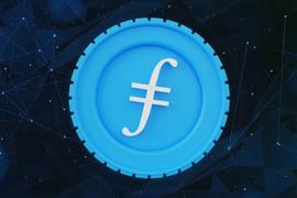 FVM上线后，Filecoin生态有哪些值得关注的项目？
