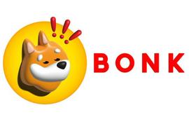 涨超10倍的BONK，会成为Solana版狗狗币吗？