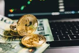 Multicoin合伙人：如何寻求投资的最优解？