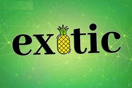 将投资策略化繁为简，Exotic Markets想成为“加密私人银行”