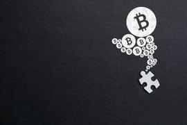 投资匿名加密初创公司有哪些有潜在风险？