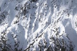 简析Avalanche上最有潜力的5个DApp