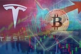 原来特斯拉的BTC买入价，才是市场「铁底」
