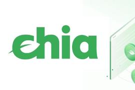 Chia 凭什么与比特币进行绿色 battle