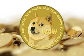 解读狗狗币（DOGE）暴涨的背后力量