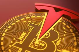 特斯拉关闭“比特币支付”只是时间问题，支付C位仍是美元稳定币