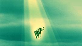 比特币算法进化为Schnorr签名算法是进步吗？| 考仔星选