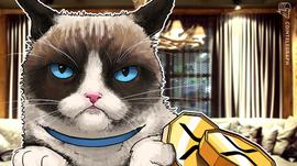在多家交易所声称下架XRP之际，Ripple郑重回应SEC的“攻击”