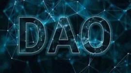 声音：（虚假的）DAO反而代表开发者独裁