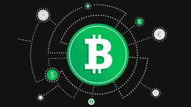 屡创新高后，5万亿刀将涌入比特币，一年后涨至10万美金？