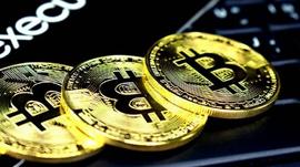 比特币一直处于牛市状态对整个币圈的未来意味着什么？