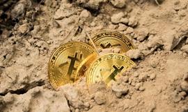 威廉：比特币不会增发，放心吧