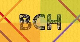 币价暴涨、51%攻击，比特币现金（BCH）减产路上的“毁”与“誉”