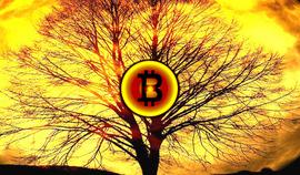 看市 | BTC暴跌Bitstamp现巨大价差，市场猜测为空头主力所在