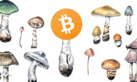 比特币最像的竟不是黄金，而是真菌？