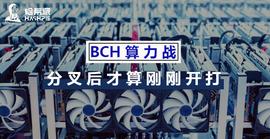 BCH算力战，分叉后才算刚刚开打