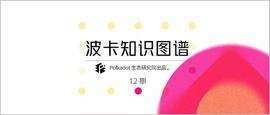 科普 | 一文了解波卡的通货膨胀