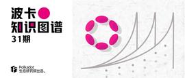 Westend：波卡的永久测试网-ODAILY