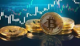 数据：42家公司持有130万比特币，价值逾650亿美元