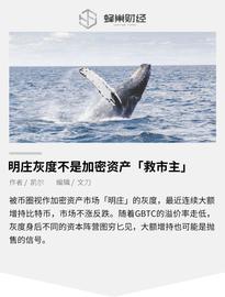 观点 | 明庄灰度不是加密资产「救市主」