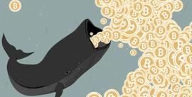 比特币鲸鱼发出牛市周期即将来临的信号-ODAILY