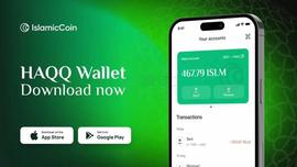 价值6千万美元的「伊斯兰Coin」是什么？