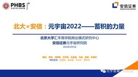北大×安信：元宇宙2022 蓄积的力量