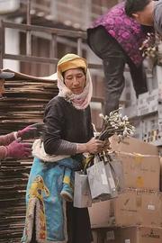 王麟：NFT距离当代艺术还有多远？
