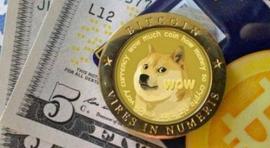 观点：SHIB暴涨带来的动物狂欢也许只欠一次暴跌