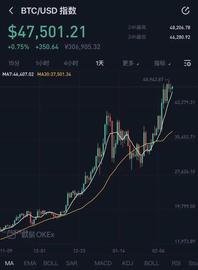 一年涨10倍！比特币2020年创造历史，“一天挣了一年工资”，谁是最大的受益者？