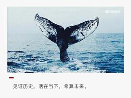 盘点：2020，加密货币十宗“最”